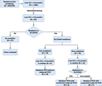 Newborn Screening and Genetic Analysis Identify Six Novel Genetic Variants for Primary Carnitine Deficiency in Ningbo Area, China